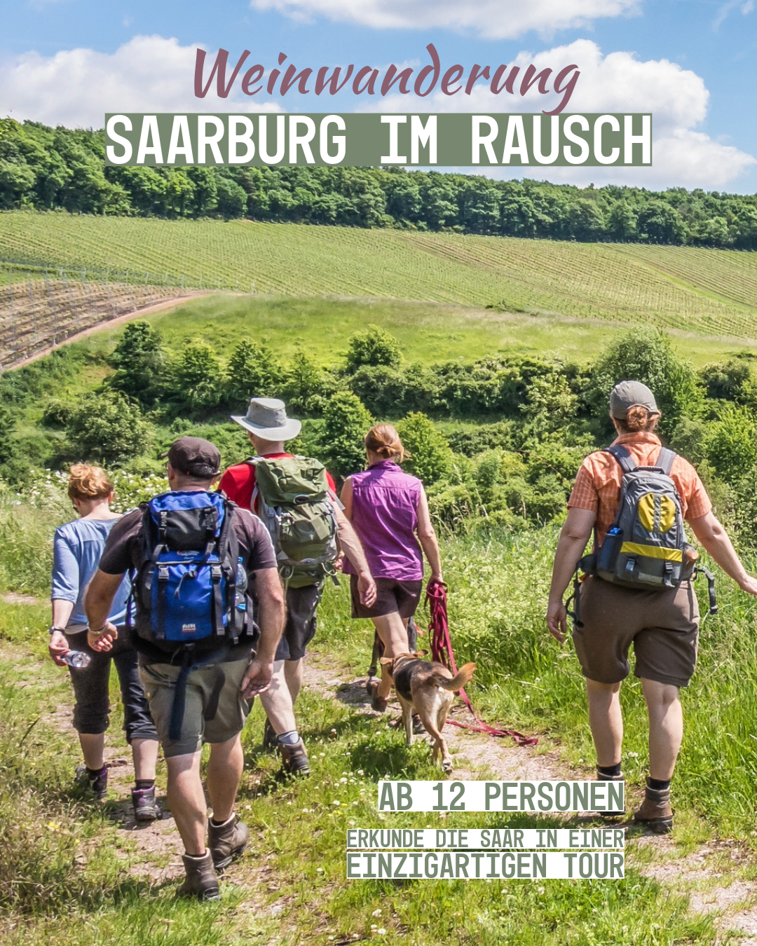 Weinwanderung "Saarburg im Rausch" - Weingeführte Self Walk Tour (Ab 12 Pers.)